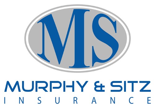 MS Logo